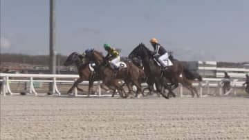 ホッカイドウ競馬開幕に向け　デビュー目指す2歳馬、能力検定スタート　門別競馬場