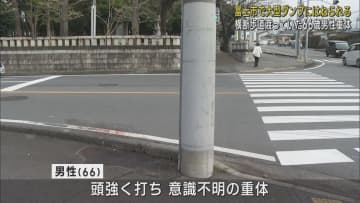 ウォーキング中の男性(66)が大型ダンプカーにはねられ意識不明の重体　警察はダンプカーへの運転手を過失運転致傷の疑いで現行犯逮捕　静岡・富士市