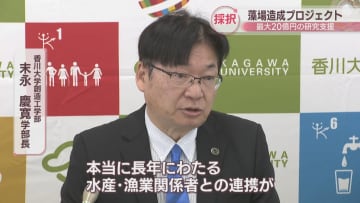 香川大などの「藻場造成」に最大20億円の研究支援　10年以上にわたる成果評価