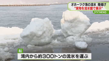 オホーツク海の流氷を陸揚げ　オホーツク流氷館で展示へ　館内で実物の流氷を間近に楽しめる