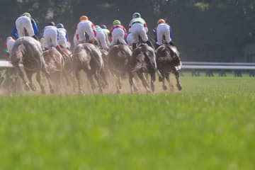 【天皇賞春／馬場情報】内外も前後ろもフラットだが……高速決着で上がりは速い　浮上する単勝オッズ“2桁”の妙味