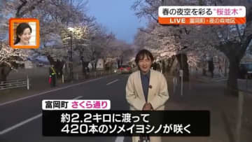 【帰ってきた人や訪れた人に届けたい新たな名物も…】富岡町の「夜の森の桜並木」が見頃・福島