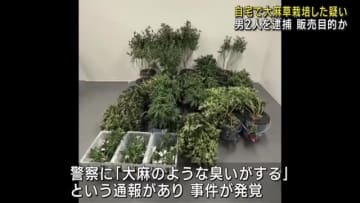 「大麻のような臭いが…」通報で発覚　大麻草を自宅で栽培したとして愛知県の男2人が逮捕