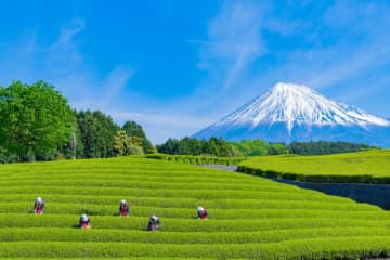 「さくらごはん」「じゅるいら～」他県民の知らない静岡の方言【学校編】1位は違う意味を連想!?