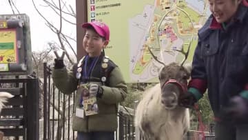 大森山動物園が通常営業スタート　家族連れをトナカイなどが出迎え