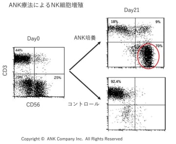 海外で注目を集めるがん免疫細胞療法「ANK療法」開発者が3月19日開催の国際学会に招聘