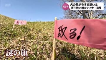 「なるべく芝のところは歩かないようにしている」謎の旗とイエローチョークで対策　フン放置に問われる飼い主のモラル