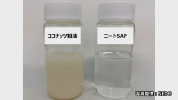 世界初　規格外ココナッツから100%バイオマス由来のSAF（持続可能な航空燃料）の製造に成功　担当者「量産に向けて前進した」