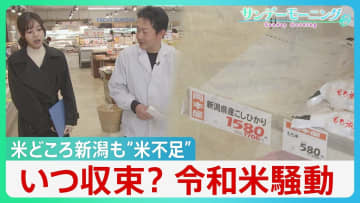 「そう簡単に不足は解消しない」備蓄米放出も…米どころ新潟も“米不足”　いつ収束？「令和の米騒動」米騒動【サンデーモーニング】