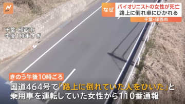 28歳のバイオリニストの女性　路上に倒れ車にひかれる　なぜ？　警察が事故のいきさつ詳しく調べる　池田有沙の名前で活動