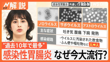 「立っていられない…」ノロウイルス以外の感染性胃腸炎に要注意　寒暖差とインバウンドも影響か “10年で最多”【Nスタ解説】