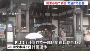 強い寒気の影響で関東各地で積雪 東京・虎ノ門では直径9ミリのひょうを観測　JR一部列車では計画運休