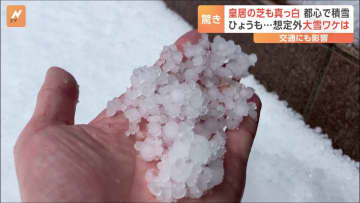 3月の都心に雪が降った！虎ノ門には直径9ミリの雹　“想定外”の雪に気象庁担当者「一言でいうと気温の見積もりが外れた」