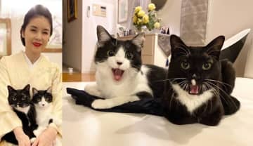 【ねこ】藤あや子さんの愛猫マル・オレオ　そろって “オオタニサーーーーーーーーーーーーン！！！！！！” 1号ホームランに絶叫？