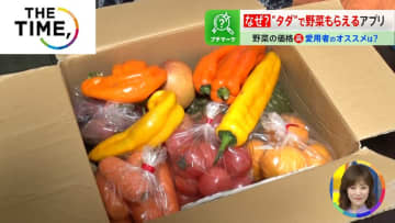 野菜が「タダでもらえる」アプリが人気…野菜高騰の中、なぜ“タダ”で？【THE TIME,】