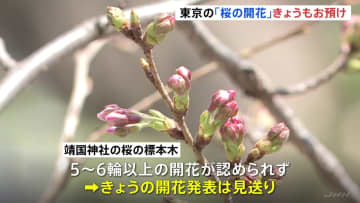 東京都心で25.6度を観測も…23日の桜の開花発表は見送り