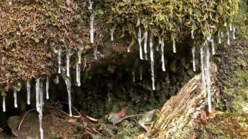 寒の戻り　紫尾山は雪、桜島は冠雪、冷たい風の中「彼岸の入り」　鹿児島