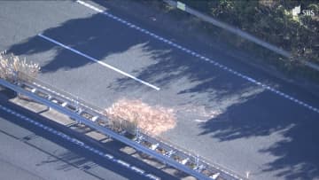 国道1号バイパス酒気帯び逆走死亡事故 24歳男を危険運転致死罪で起訴 静岡地検浜松支部「成立すると判断」【速報】