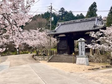 【広島県福山市】足利義昭ゆかりの常國寺で春の桜まつり開催　イベントを通じて常國寺（福山市熊野町）の魅力・歴史を発信