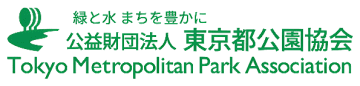 夜空に浮かび上がる圧巻のしだれ桜が見どころ！『春夜の六義園 夜間特別観賞』3月22日(土)から7日間の開催が決定！