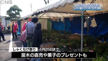 大村市で「しゃくなげ祭り」始まる　裏見の滝自然花苑に約40種類6000本《長崎》