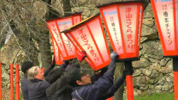 約1000本の桜が咲き誇る「津山さくらまつり」に向けて　夜桜を楽しむため「ぼんぼり」189本の取り付け【岡山】