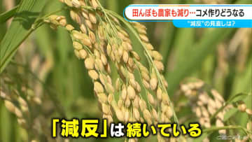 コメ作りどうなる 田んぼも担い手も減り続ける現実 “減反”の見直しは？ 【チャント！大石が聞く】