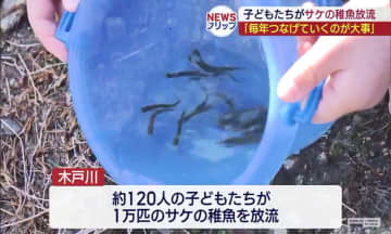 子どもたちが木戸川でサケの稚魚放流（福島）