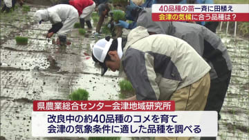 暑さに強いコメを！約40品種を手植え（福島）