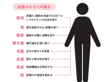 速筋を鍛える最適解！筋肥大に効く負荷と回数の黄金ルールとは？【眠れなくなるほど面白い 図解 筋肉の話】