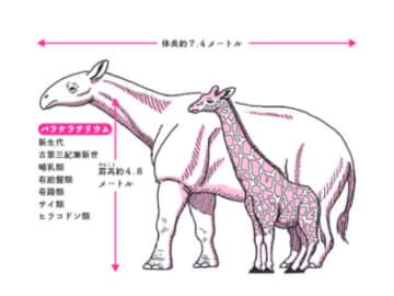 史上最大の陸上哺乳類は角をもたないサイとは？【眠れなくなるほど面白い 図解 古生物の話】