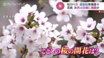 サクラの名所、松川べりで清掃活動　花見シーズンに向け準備着々と　遊覧船は3月20日から運航　富山