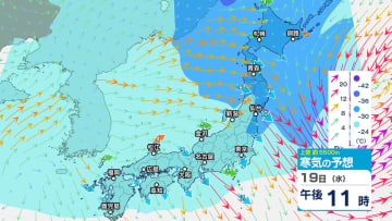 【気象情報】関東甲信は交通障害に留意…低気圧が発達しながら関東の東を進む【雪と雨のシミュレーション】 大雪のおそれなくなるも “なだれ” に注意